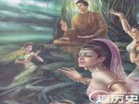 合肥族云信息科技有限公司